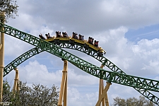 Cheetah Hunt