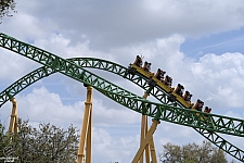 Cheetah Hunt