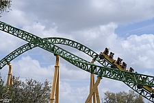 Cheetah Hunt