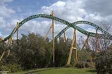 Cheetah Hunt