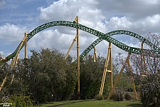 Cheetah Hunt