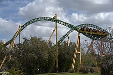 Cheetah Hunt