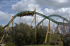 Cheetah Hunt