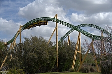 Cheetah Hunt