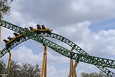 Cheetah Hunt