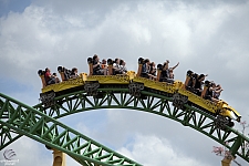 Cheetah Hunt