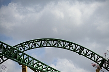 Cheetah Hunt