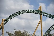 Cheetah Hunt