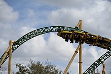 Cheetah Hunt