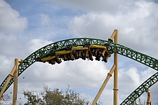 Cheetah Hunt
