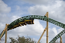 Cheetah Hunt