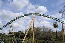 Cheetah Hunt