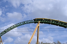 Cheetah Hunt