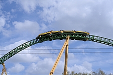 Cheetah Hunt