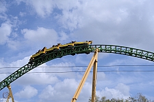 Cheetah Hunt