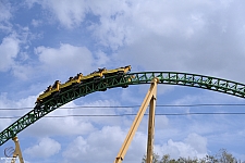 Cheetah Hunt