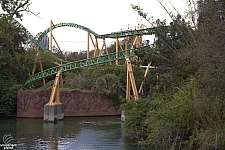 Cheetah Hunt