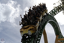 Cheetah Hunt