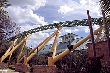 Cheetah Hunt