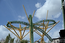 Cheetah Hunt