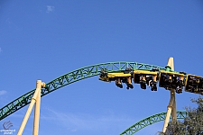 Cheetah Hunt