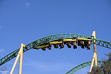 Cheetah Hunt