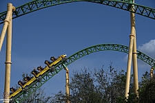 Cheetah Hunt