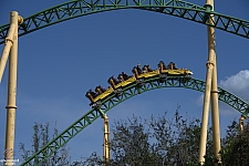 Cheetah Hunt
