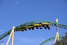 Cheetah Hunt