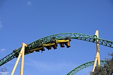 Cheetah Hunt
