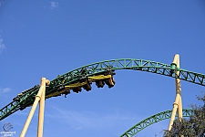 Cheetah Hunt
