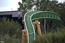 Cheetah Hunt