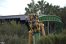 Cheetah Hunt