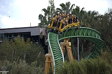 Cheetah Hunt