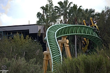 Cheetah Hunt