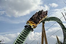 Cheetah Hunt