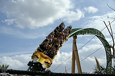 Cheetah Hunt
