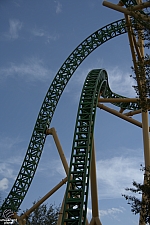 Cheetah Hunt