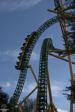 Cheetah Hunt