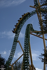 Cheetah Hunt