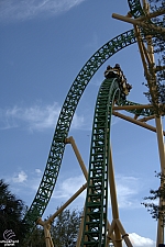 Cheetah Hunt