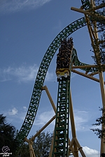 Cheetah Hunt