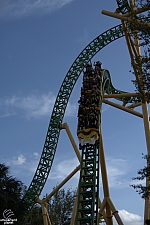 Cheetah Hunt