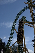 Cheetah Hunt