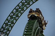 Cheetah Hunt