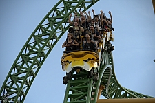 Cheetah Hunt