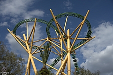 Cheetah Hunt