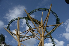 Cheetah Hunt