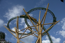 Cheetah Hunt