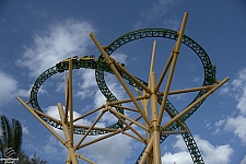 Cheetah Hunt